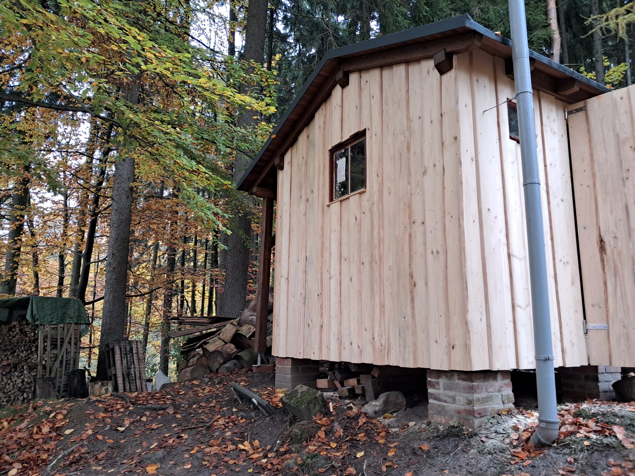 Holzunterstand-Birkwiesen